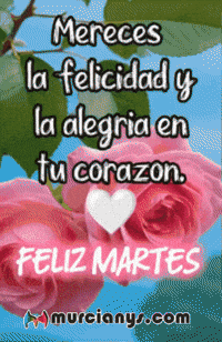 Para Ti Amigos GIF by Murcianys LLC