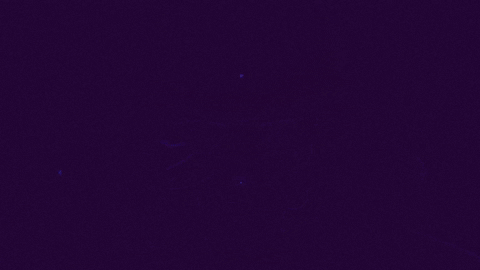 See You GIF