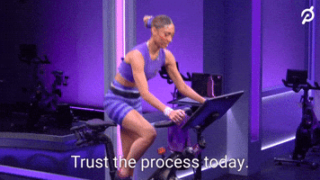 Trust The Process