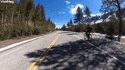 Biking Trail GIF by ViralHog