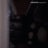 Sergio Martino Film GIF by Arrow Video