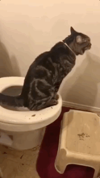 GIF by Worldstar Hip Hop
