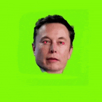 Pizza Elon GIF by Rare Pizzas