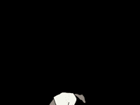 Ascension Karika GIF by Stylo