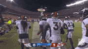 National Football League GIF by NFL
