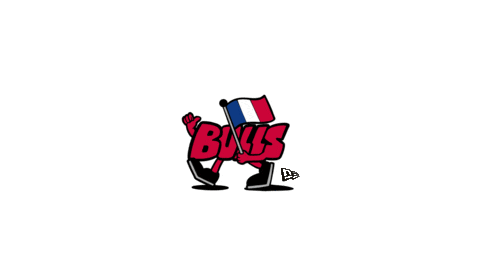 Chicago Bulls Sticker by NEW ERA EUROPE