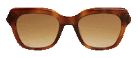 Try On Dan Levy Sticker by DL Eyewear