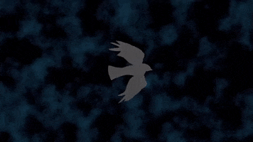 flying british invasion GIF by The Zombies