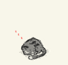 cat sleeping GIF by hoppip