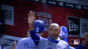 Waving Regular Season GIF by MLB