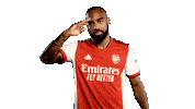 Football Sport Sticker by Arsenal
