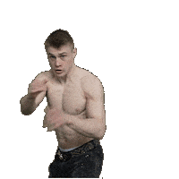 Mma Leo Sticker by Sportegy Athletes