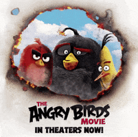 chuck burning GIF by Angry Birds