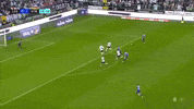 433StalMielec mielec ekstraklasa 433 stal GIF
