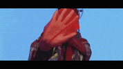jaguarjonze baby alternative rock indie rock beijing GIF