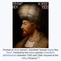 Shah Ismail GIF