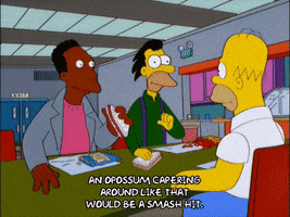 homer simpson GIF