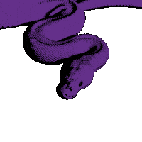 Snake Sticker by Tainy