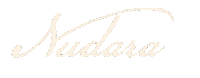 Nudara Cardiff Sticker by Nudara