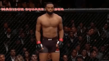 ufc 205 GIF