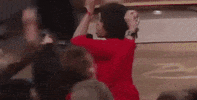 car sale GIF by Superfit Foods