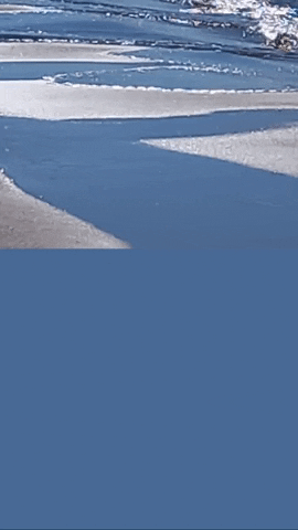 Simongip giphygifmaker GIF