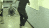 fall skateboard GIF by AFV Epic Fails