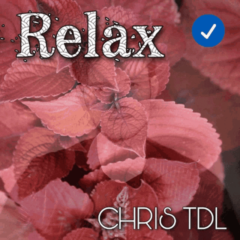 Chris_TDL_France giphyupload relax french spotify GIF