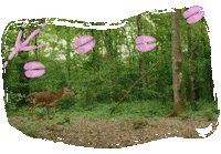 Bambi Tier Sticker by Druck und Werte Creatives