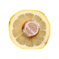 Tree Lemon Sticker by Drink Enroot