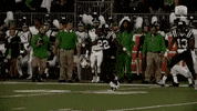 ohio bobcats athens GIF by Ohio Football