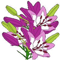 flower blooming Sticker by Waltermedia