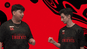Call Of Duty Win GIF by 100 Thieves