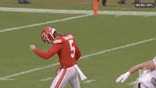 National Football League GIF by NFL