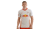 Hang Loose Oh Yeah Sticker by RB Leipzig