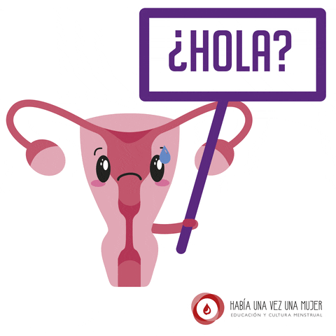 Escuelaeducadorasmenstruales giphyupload utero edem GIF
