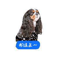 Dogs Hello Sticker