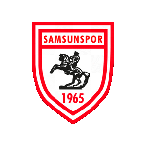 Samsunspor giphyupload samsun samsunspor kingofthenorth Sticker
