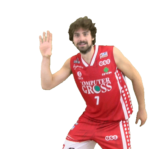 Basketball Serieb Sticker by Use Basket