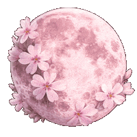 Pink Flower Sticker