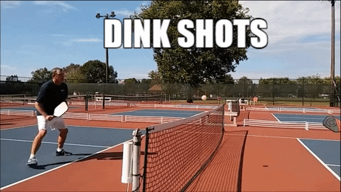 pickleballmax giphygifmaker GIF