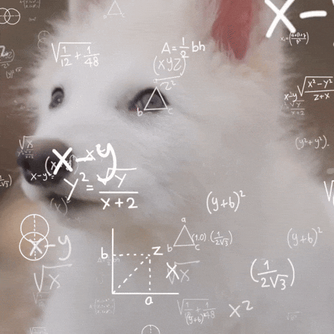 Baby What GIF by Colossal