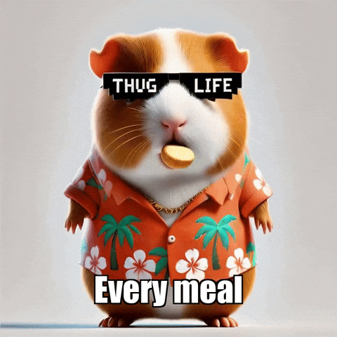 GIF by Guinea Gambino