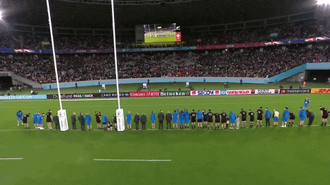 Japan Respect GIF by Rugby World Cup