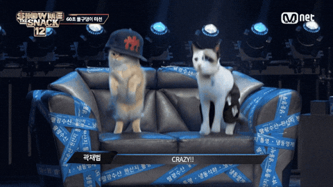 Show Me The Snack GIF