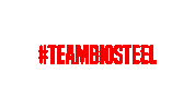 BioSteelSports hydration sports drink biosteel bio steel Sticker