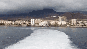 Canary Island Goodbye GIF by For 91 Days