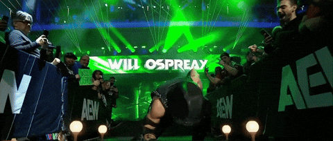 Lets Go Wrestling GIF