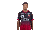 Handball-Bundesliga Handball Sticker by LIQUI MOLY HBL