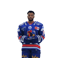 Happy Sport Sticker by Iserlohn Roosters